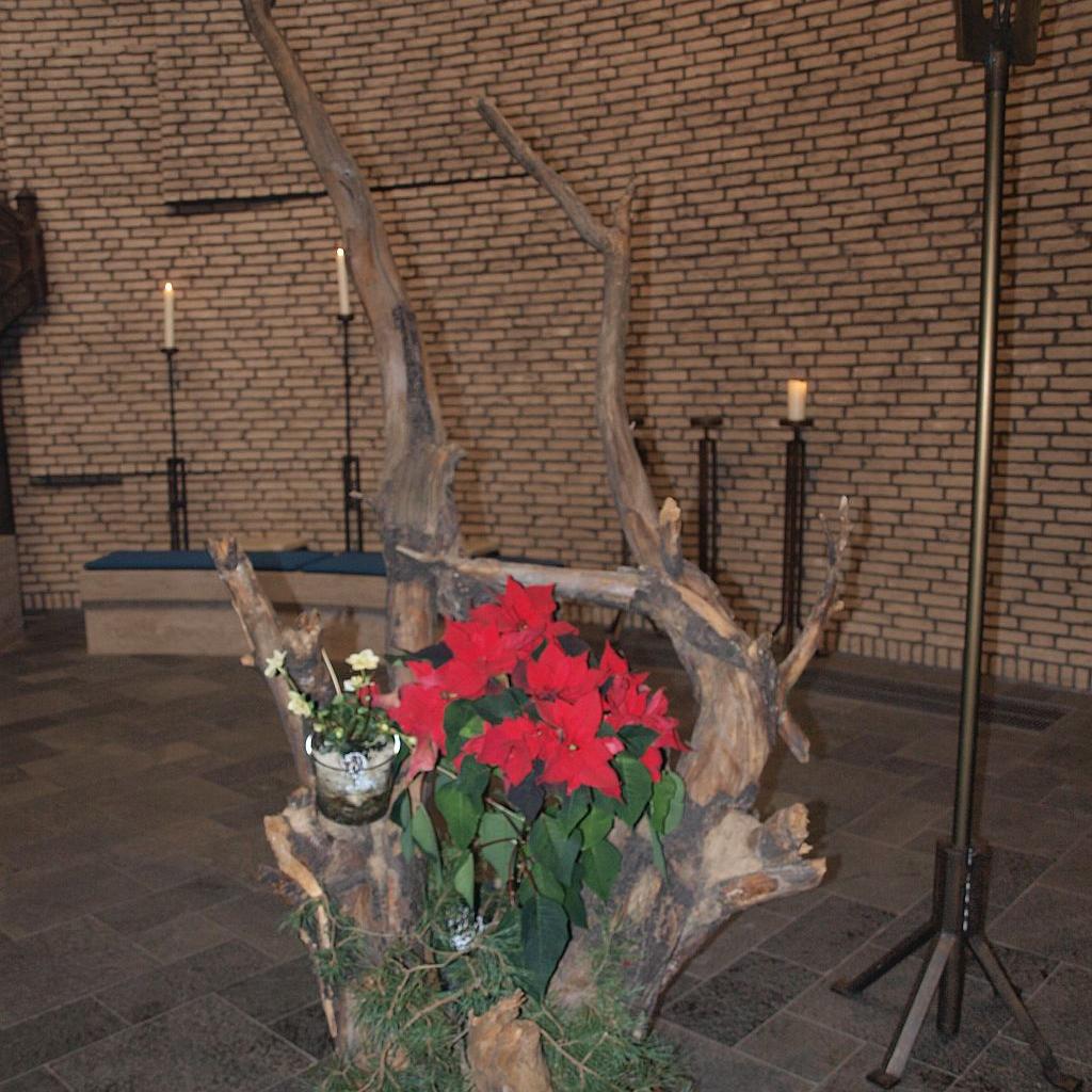 DREIKÖNIG--2011