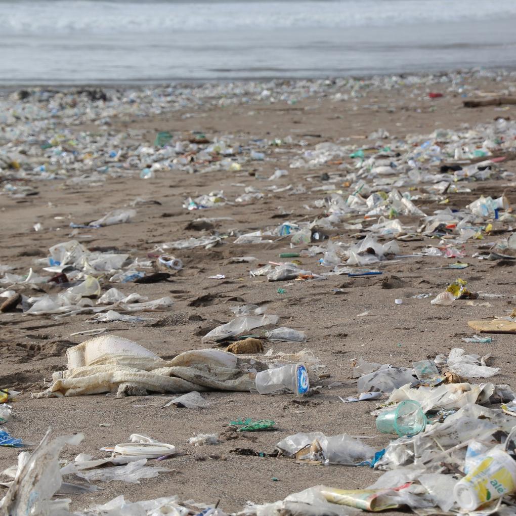 Plastikverseuchter Strand